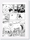 16 * 762 x 1100 * (497KB)